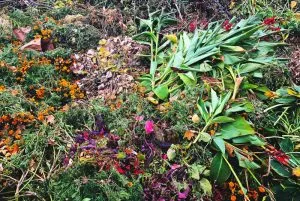 reusing and recycling garden waste