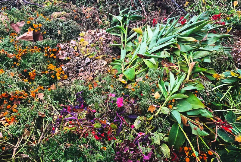 reusing and recycling garden waste