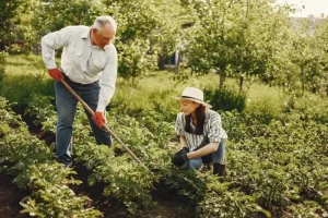 exploring green careers
